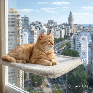 Cama con ventosas para ventana o pared