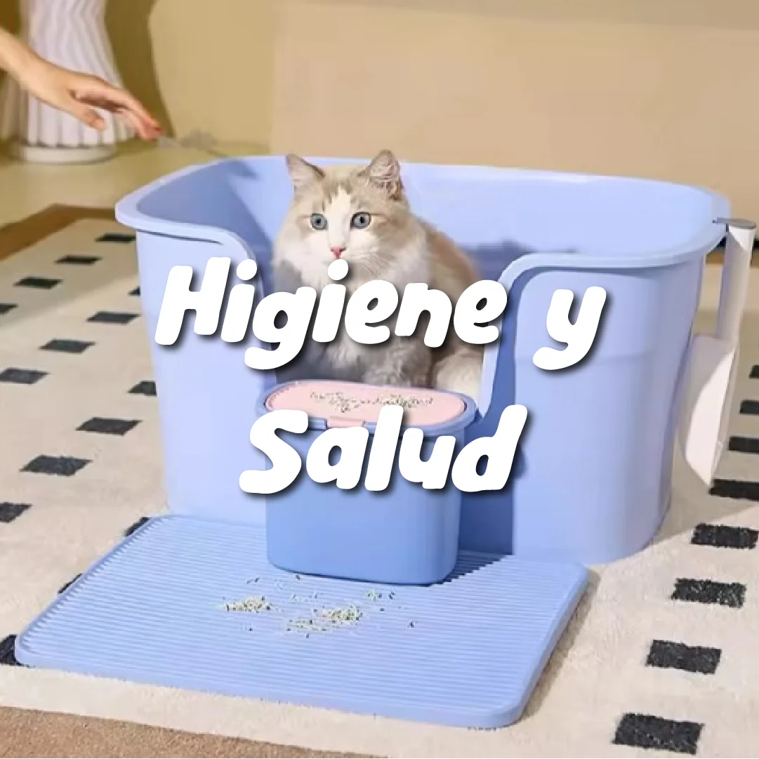 Faja post-castración para gatas