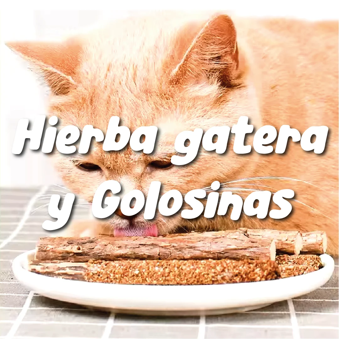 categorias-01 Golosina de Matatabi
