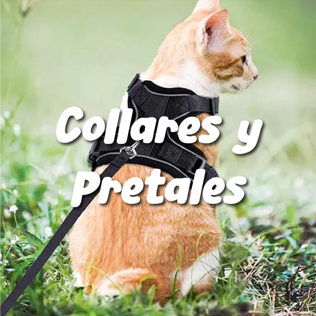 categorias-04 Collar con moño