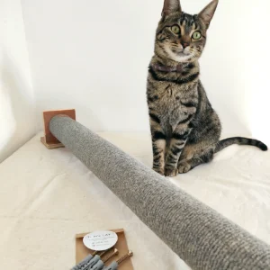 cora1 Rascador trepador Cora