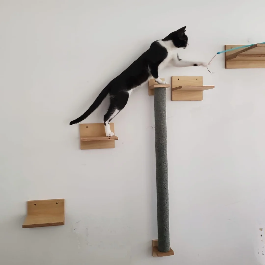 Pack basico de aéreos + Rascador Cora