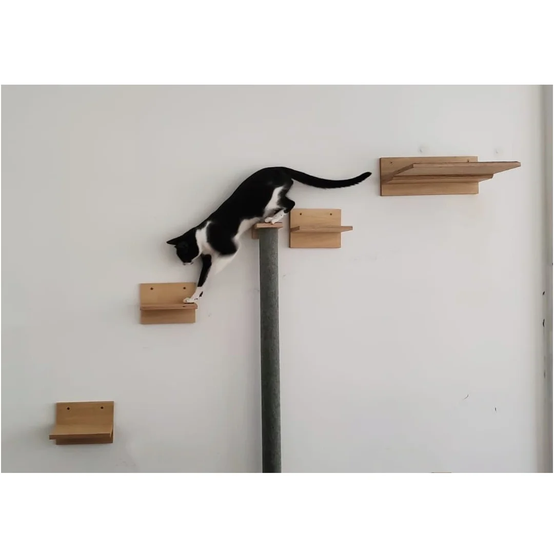 Pack basico de aéreos + Rascador Cora - Imagen 4