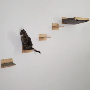 Pack básico de aéreos con hamaca