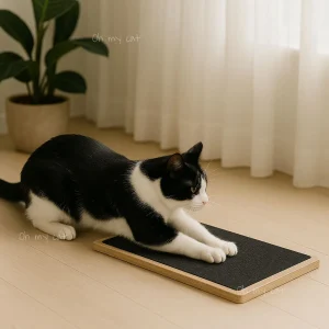 Rascador Plano de piso