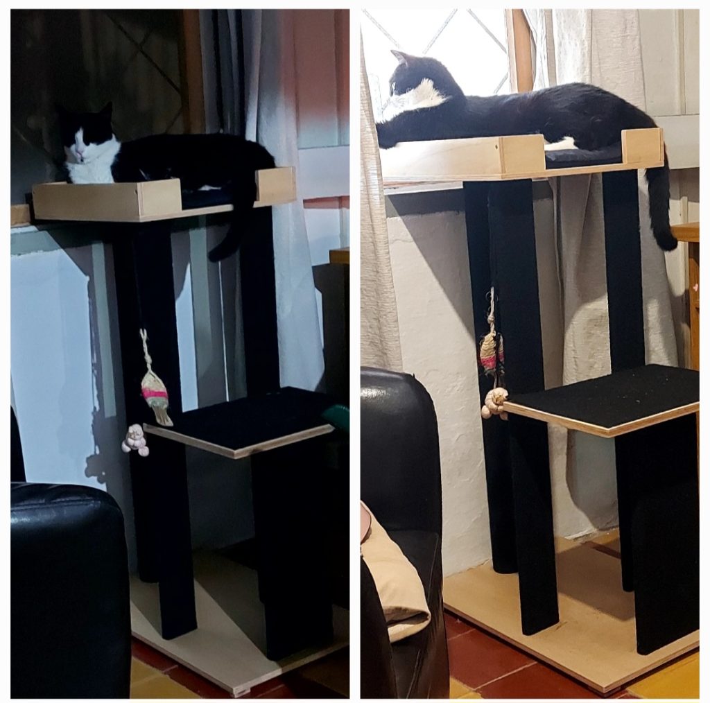 Imagen #1 de María L.